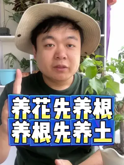 养花先养根，养根先养土 #养花 #养花小知识 #花卉 #花卉绿植 #盆栽