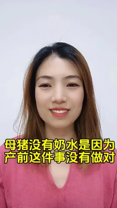 #母猪#自繁自养母猪 #母猪保健 #每天分享养猪知识 #养殖技术交流