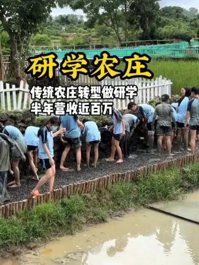 研学农庄新模式 传统农庄做研学活动，半年营收破百万#游云文旅 #规划设计 #乡村振兴 #农庄规划 #研学基地