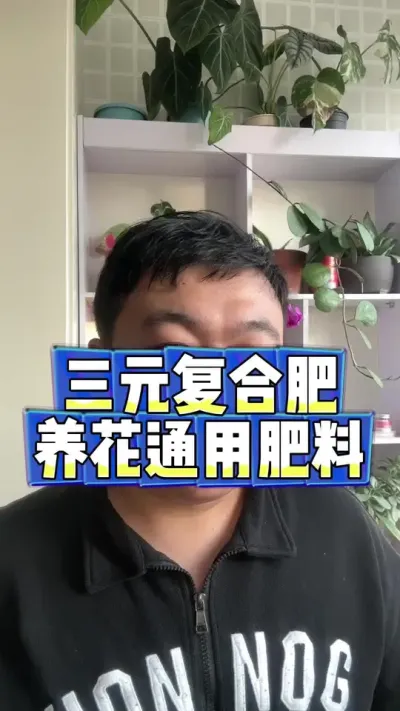 三元复合肥，养花通用肥料。#养花 #养花 #养花小知识 #花卉 #盆栽