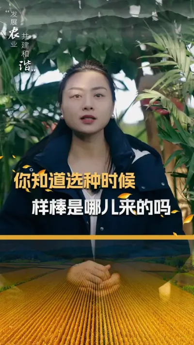 你知道选种时候样棒是哪儿来的吗#玉米种植 #玉米种植技术 #玉米种子 #三农 #抖音新农人