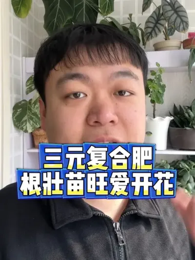 三元复合肥 养花通用的肥料，让你的花根壮，苗旺而且爱开花。#养花小知识 #养花 #花卉 #花卉绿植 #盆栽