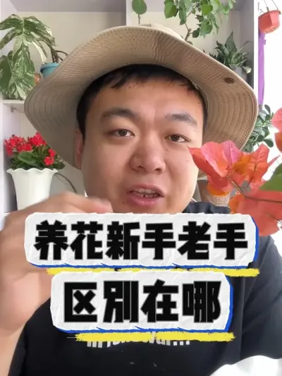 养花新手和老手区别在哪。 #养花 #养花小知识 #花卉 #花卉绿植 #盆栽