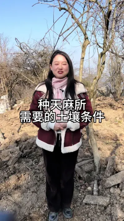 种天麻所需要的土壤条件 #天麻种子 #三农种植 #新农人计划