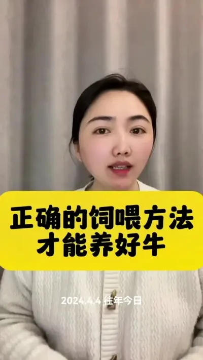 正确的喂牛方法才能养好牛#养牛知识 #养牛 #养牛人 #养殖 #养牛技术