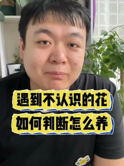 遇到不认识的花，快速教会你怎么去养。 #养花 #养花小知识 #花卉 #花卉绿植 #盆栽