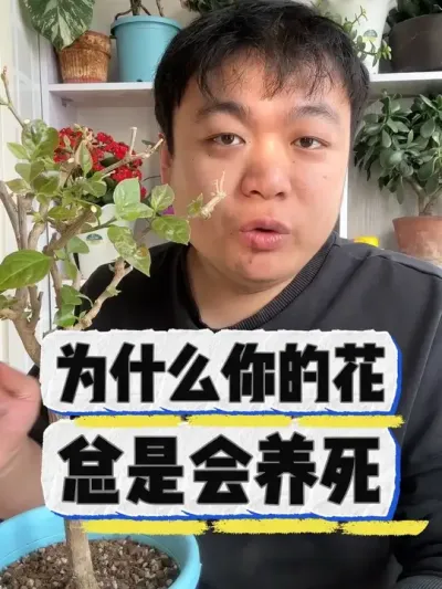 为什么你的花总是会养死。 这几点很关键。#养花 #养花小知识 #花卉 #花卉绿植 #盆栽