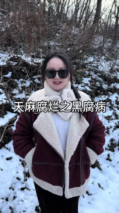 天麻腐烂之黑腐病 #天麻种植 #技术分享 #新农人计划 @DOU+小助手