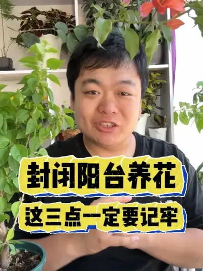 想要在封闭阳台养好花，这三点一定要做到。 #养花 #养花小知识 #花卉 #花卉绿植 #盆栽