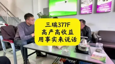 种食葵、葫芦，就找丰向标农业好种子、好服务、好收成。#三瑞377F #丰向标