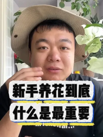 新手养花，到底什么最重要。 #养花 #养花小知识 #花卉 #花卉绿植 #盆栽