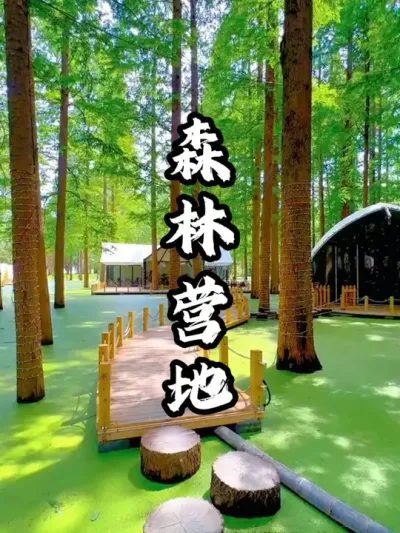 巧妙利用森系场地的自然优势来打造场景，从而爆火出圈#游云文旅 #规划设计 #乡村振兴 #周二课堂