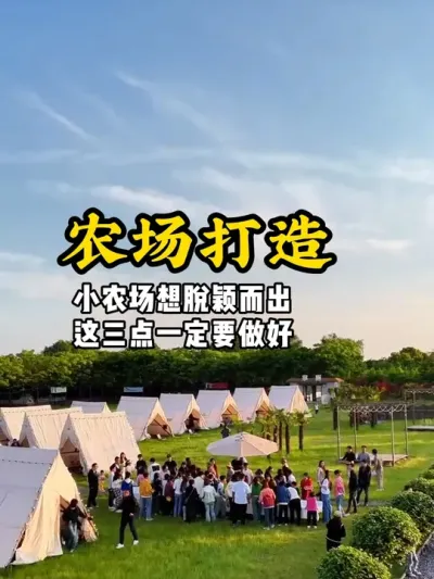 农场打造 小农场想要脱颖而出，这三点一定要做好#游云文旅 #规划设计 #乡村振兴 #农场设计 #农场打造