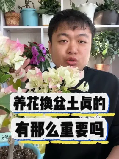 养花换盆土真的那么重要吗？ #养花小知识 #花卉 #养花 #花卉绿植 #盆栽