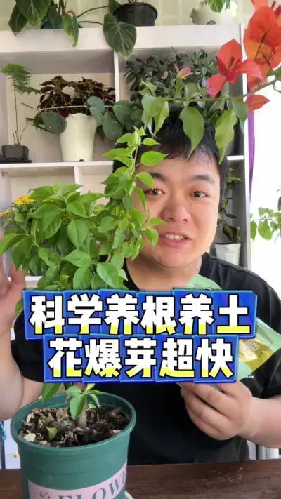 科学养花养土，花爆芽爆花才快。 #养花 #养花小知识 #花卉 #花卉绿植 #盆栽
