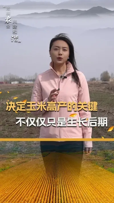 决定玉米高产的关键，不仅仅只是生长后期#玉米种植 #玉米种植技术 #玉米种子 #三农 #抖音新农人