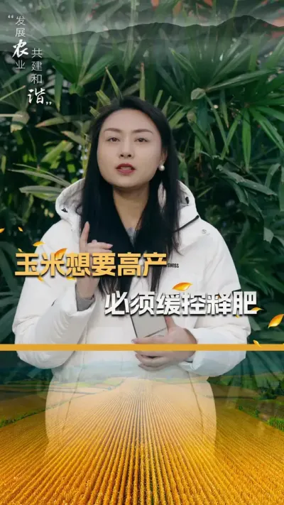 玉米想要高产，必须缓控释肥#玉米种植技术 #玉米种植 #玉米种子 #三农 #抖音新农人