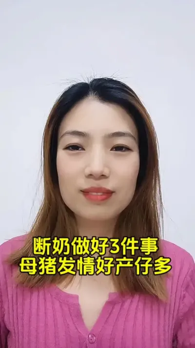 #母猪#自繁自养母猪 #母猪保健 #母猪产后护理