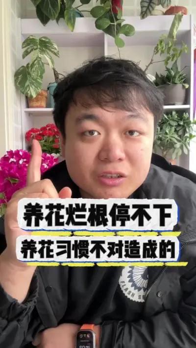 为啥养花烂根停不下来， 其实还是错误的养护习惯造成的。#花卉绿植 #花卉 #养花 #养花小知识 #盆栽