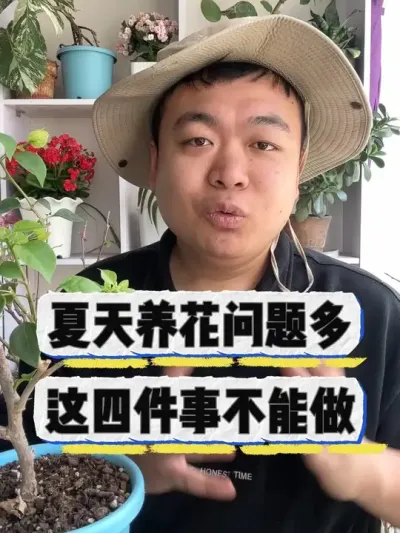 夏天养花问题多，这四件事不能做。 #养花 #养花小知识 #花卉绿植 #花卉 #盆栽