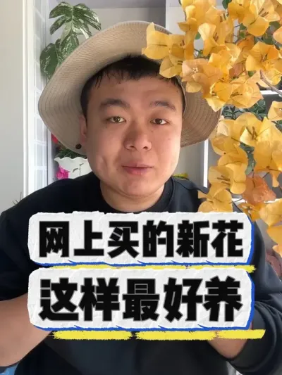 网上买的新花，到家要这么养。 #养花 #养花小知识 #花卉 #花卉绿植 #盆栽