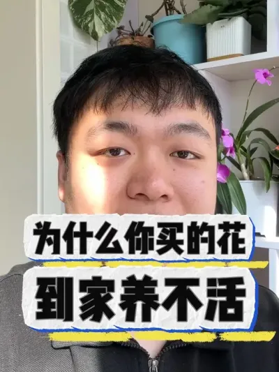 为什么你买的花，到家养不活。 #养花小知识 #盆栽 #花卉 #养花 #花卉绿植