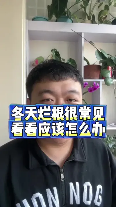 冬天养花烂根应该怎么办，烂根真的很常见。#养花 #养花小知识 #花卉 #花卉绿植 #烂根