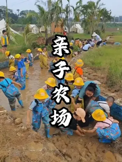 亲子农场利用庄稼开展研学教育，半年营收百万#游云文旅 #规划设计 #乡村振兴 #周二课堂