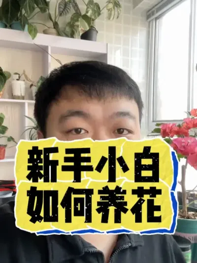 养花新手小白应该如何养花。 #养花 #养花小知识 #花卉 #花卉绿植 #盆栽
