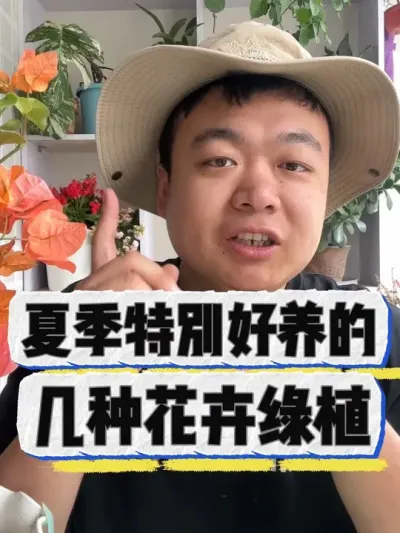 夏天特别好养的几种花，抓紧看看吧。 #养花 #养花小知识 #花卉 #花卉绿植 #盆栽