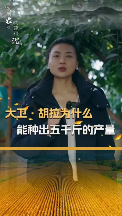 大卫&middot;胡拉为什么能种出五千斤的产量#玉米种植 #玉米种植技术 #玉米种子 #三农 #抖音新农人