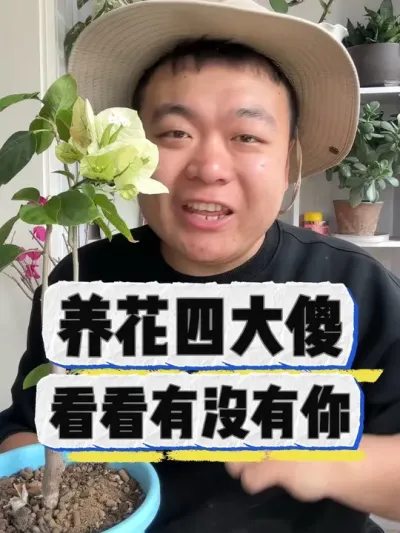 养花四大傻，看看有没有你。 #养花 #养花小知识 #花卉 #花卉绿植 #盆栽