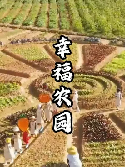 占地七亩的亲子农场，开业半年营收百万#游云文旅 #规划设计 #乡村振兴 #周二课堂