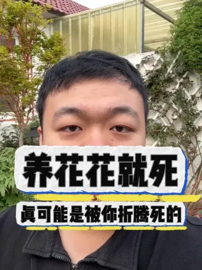 为啥好多花养着养着就死了，其实真的可能是被折腾死的。 #养花小知识 #花卉 #盆栽 #养花 #花卉绿植
