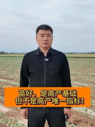 苗好，是高产基础! 但不是高产唯一指标! #种植小技巧 #新农人计划2025 #新农人计划 #三农流量扶持计划 #支持三农扶持三农发展