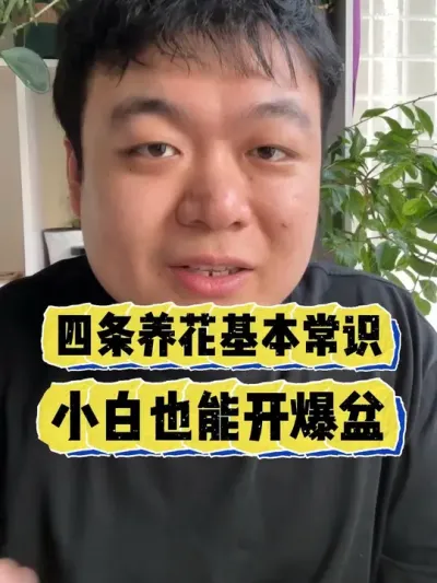 四条养花基本常识，小白也能养爆花。 #养花 #养花小知识 #花卉 #花卉绿植 #盆栽