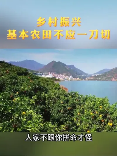 基本农田不应该一刀切，因地制宜#乡村振兴 #基本农田 #农业种植 #乡村发展