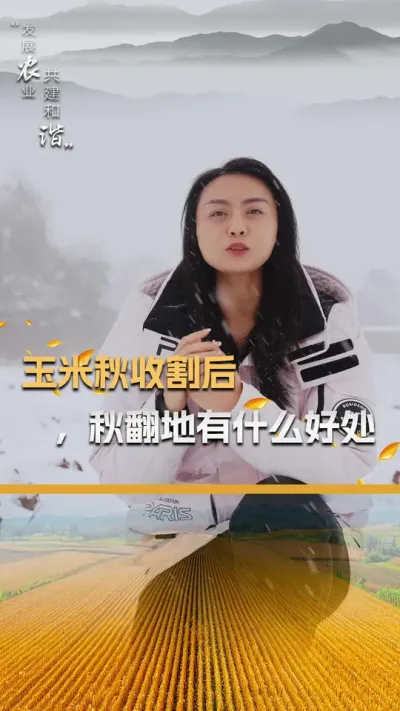 玉米秋收割后，秋翻地有什么好处 #玉米种植 #玉米种植技术 #玉米种子 #三农 #抖音新农人