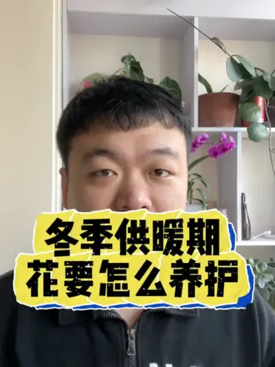 冬天供暖期，我们家里的花应该如何养护。 #养花 #养花小知识 #花卉 #花卉绿植 #盆栽
