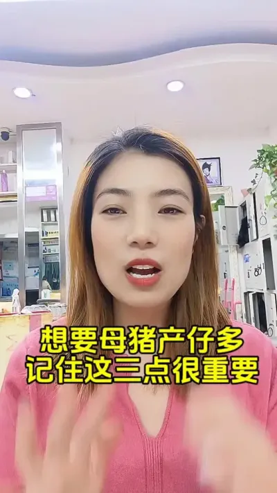 想要母猪产仔多，注意这三点#自繁自养母猪 #母猪 #母猪饲养管理 #养母猪