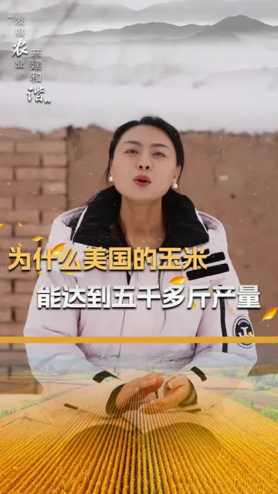 为什么美国的玉米能达到五千多斤产量#玉米种植 #玉米种植技术 #玉米种子 #三农 #抖音新农人