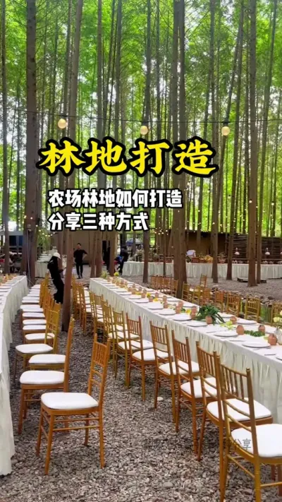 农场营地如何利用林地打造场景，可以试试这三种方法#游云文旅 #规划设计 #农场设计 #农庄运营