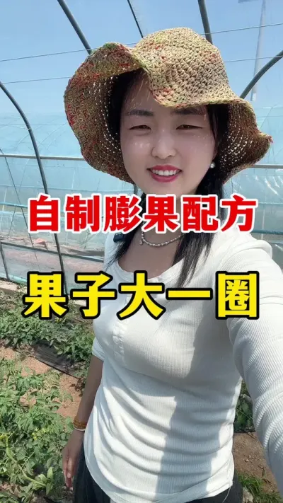 自制膨果小配方 果子大一圈#西红柿种植 #西红柿种植技术