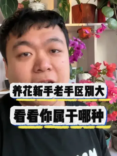 新手老手养花差距大，看看你属于哪一类。 #养花小知识 #花卉 #养花 #花卉绿植 #盆栽
