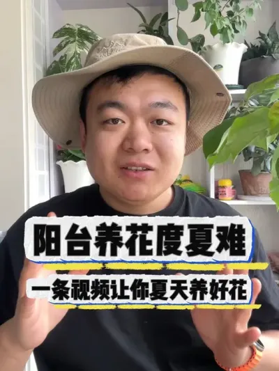 阳台养花度夏难，提前做好功课。 #养花 #养花小知识 #花卉 #花卉绿植 #盆栽