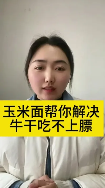 玉米面帮你解决牛干吃不上膘的难题#养牛人 #服务三农支持三农 #养牛技术 #西门塔尔 #肉牛养殖