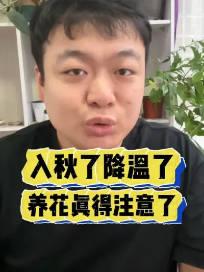 入秋了降温了，养花这几点真得注意了。 #养花 #养花小知识 #花卉 #花卉绿植 #盆栽