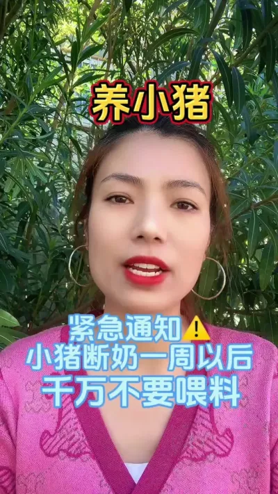 #每天分享养殖技术和经验 #服务三农支持三农 #所有养猪人 #科学养猪 #三农养猪人