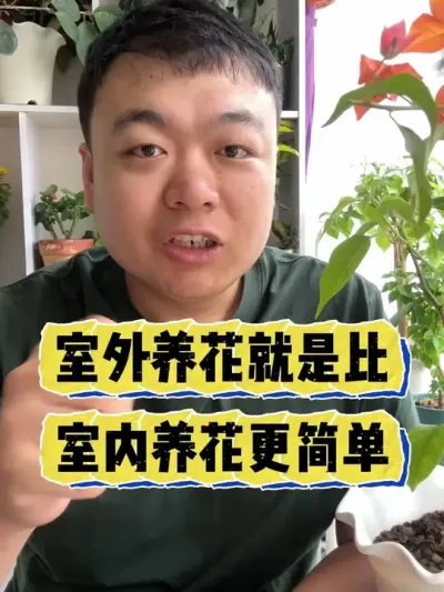 室外养花确实比室内封闭阳台养花更简单。 #养花 #养花小知识 #花卉 #花卉绿植 #盆栽