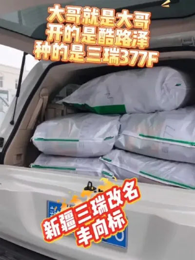 大家都在选择的不一定是最好的，但一定是对的#三瑞377F #丰向标